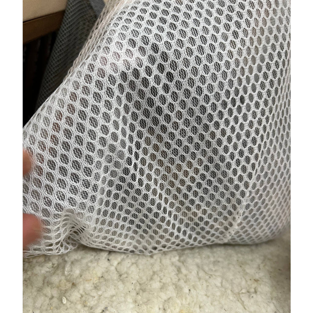 新北市待認養貓 混種貓