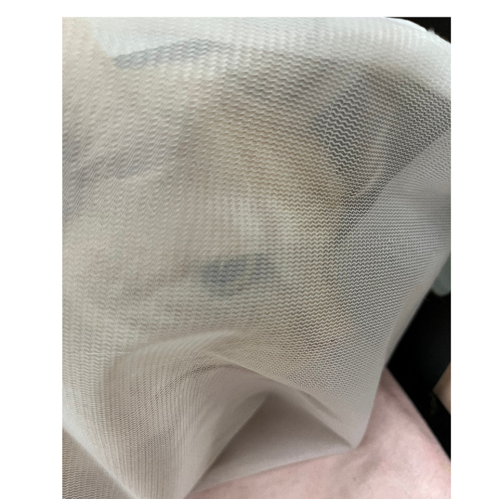 新北市待認養貓 混種貓