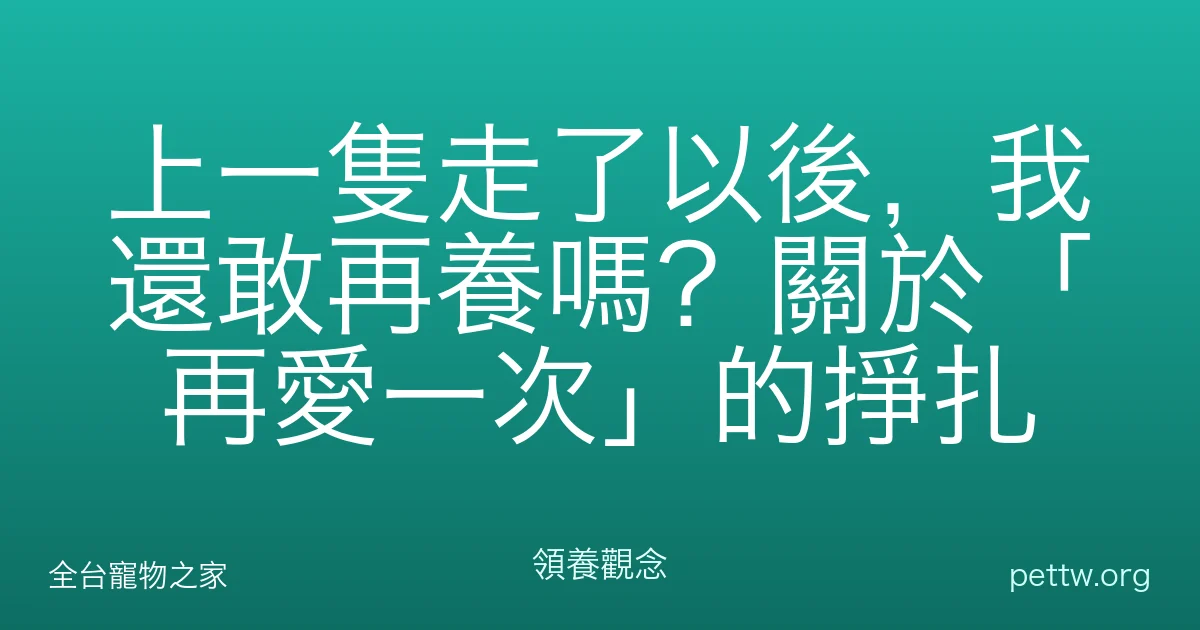 上一隻走了以後，我還敢再養嗎？關於「再愛一次」的掙扎
