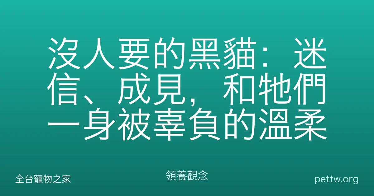沒人要的黑貓：迷信、成見，和牠們一身被辜負的溫柔