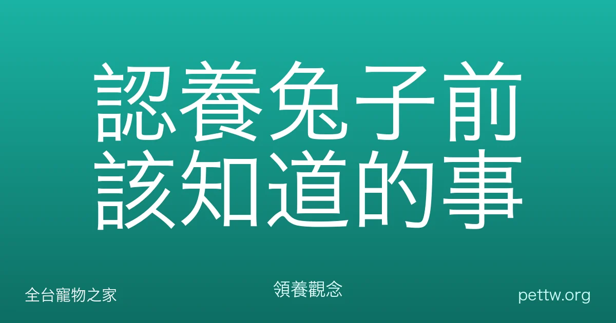認養兔子前該知道的事
