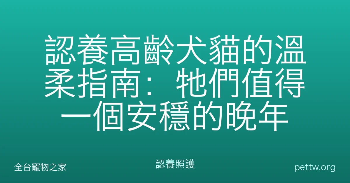 認養高齡犬貓的溫柔指南：牠們值得一個安穩的晚年