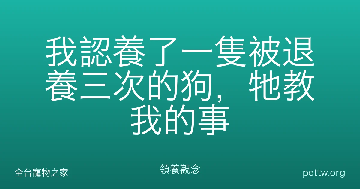 我認養了一隻被退養三次的狗,牠教我的事