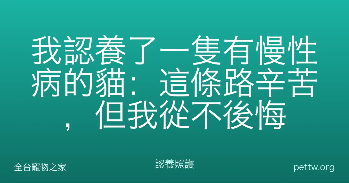 我認養了一隻有慢性病的貓:這條路辛苦,但我從不後悔
