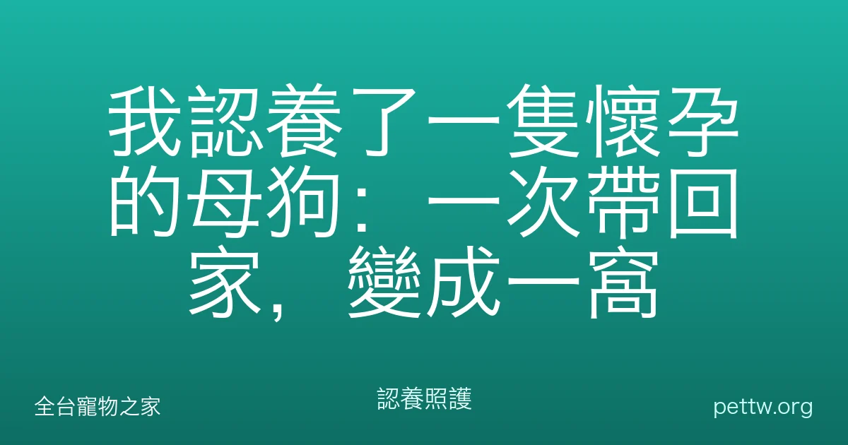 我認養了一隻懷孕的母狗：一次帶回家，變成一窩