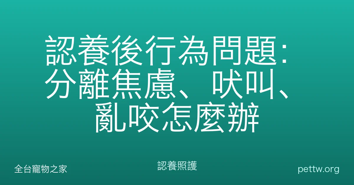 認養後行為問題：分離焦慮、吠叫、亂咬怎麼辦