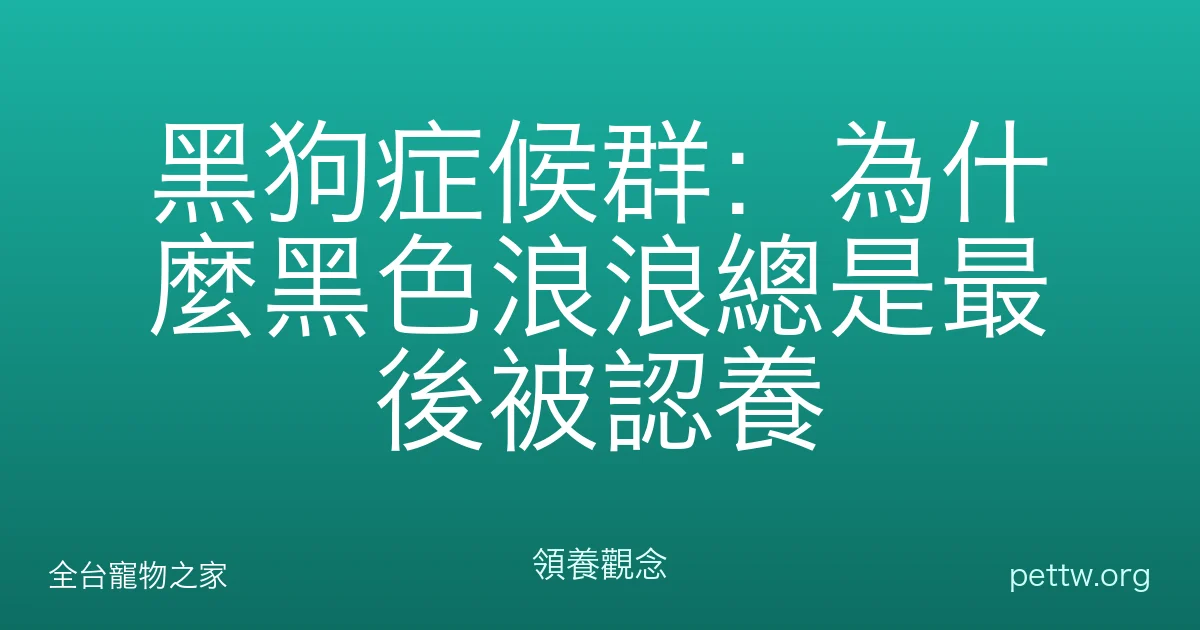 黑狗症候群：為什麼黑色浪浪總是最後被認養
