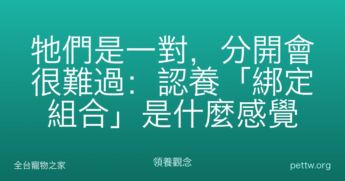 牠們是一對，分開會很難過：認養「綁定組合」是什麼感覺
