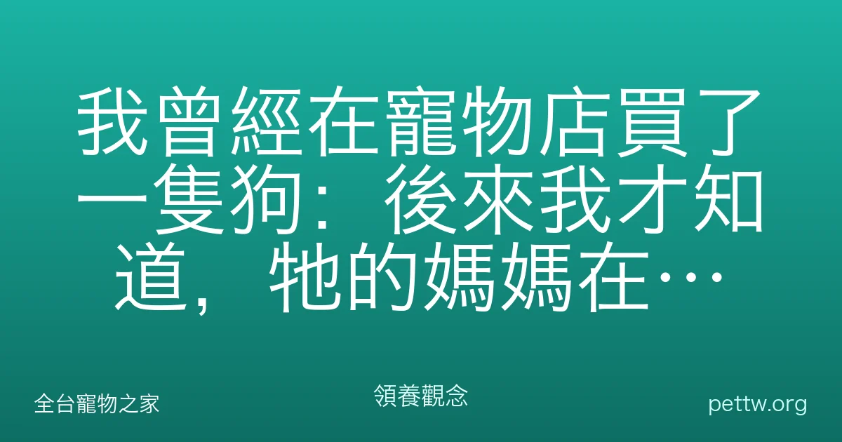 我曾經在寵物店買了一隻狗:後來我才知道,牠的媽媽在哪裡