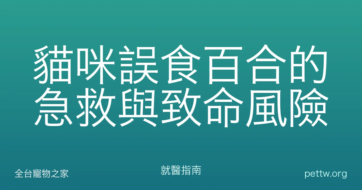 貓咪誤食百合的急救與致命風險