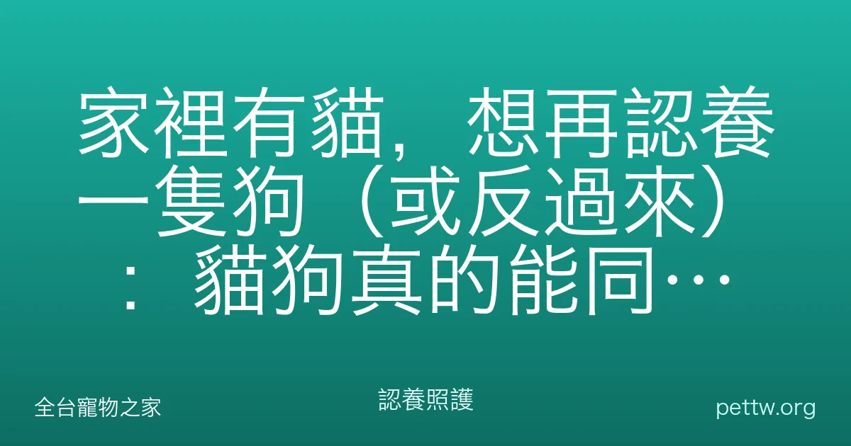 家裡有貓,想再認養一隻狗(或反過來):貓狗真的能同住嗎