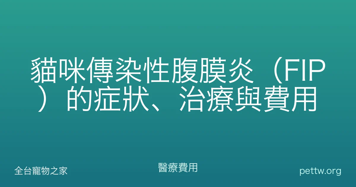 貓咪傳染性腹膜炎（FIP）的症狀、治療與費用