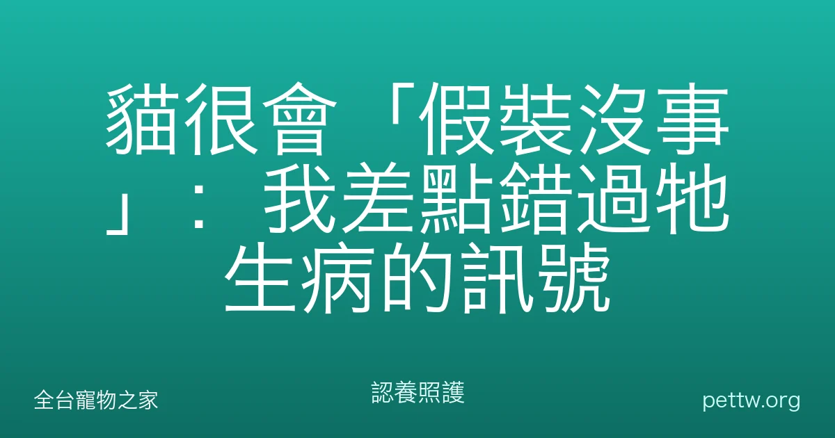 貓很會「假裝沒事」：我差點錯過牠生病的訊號
