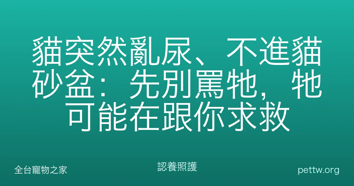 貓突然亂尿、不進貓砂盆:先別罵牠,牠可能在跟你求救