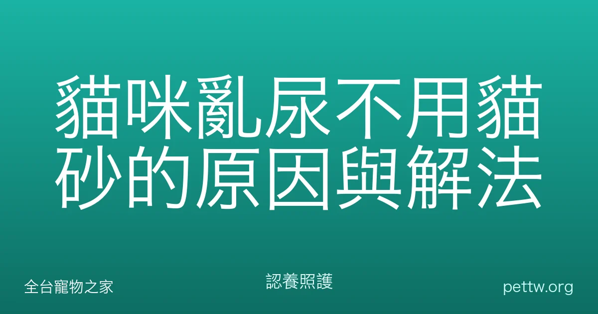 貓咪亂尿不用貓砂的原因與解法