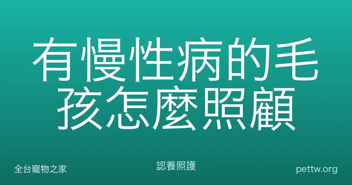 有慢性病的毛孩怎麼照顧