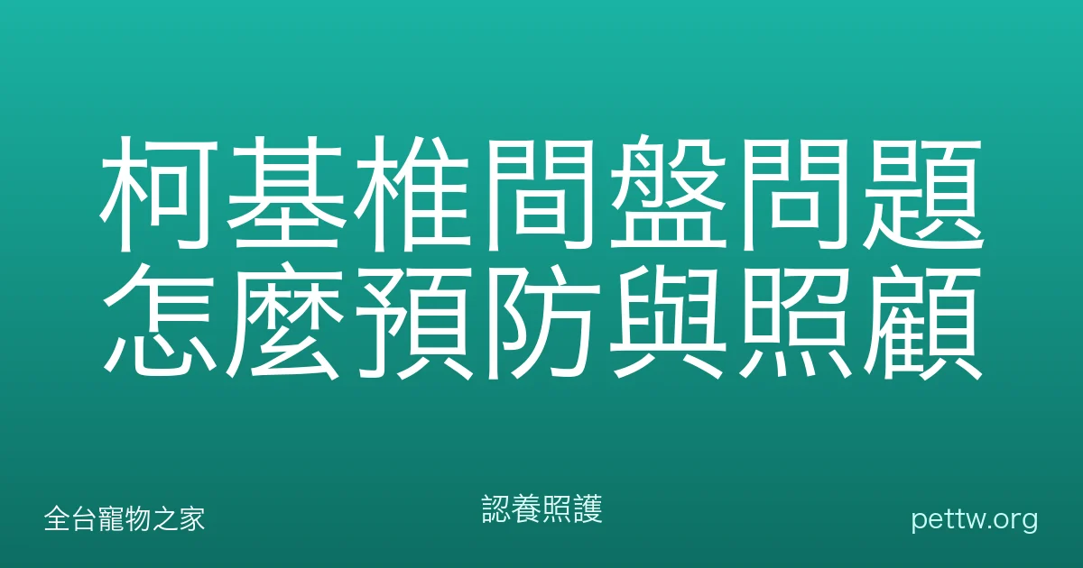 柯基椎間盤問題怎麼預防與照顧