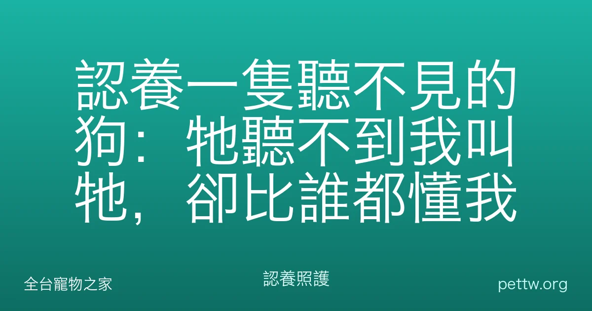 認養一隻聽不見的狗：牠聽不到我叫牠，卻比誰都懂我