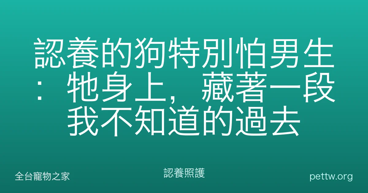 認養的狗特別怕男生：牠身上，藏著一段我不知道的過去