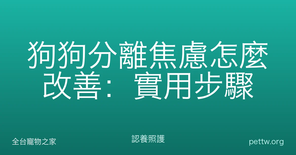 狗狗分離焦慮怎麼改善：實用步驟
