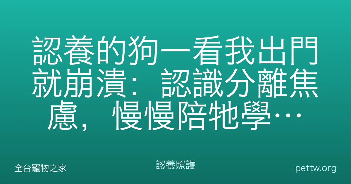 認養的狗一看我出門就崩潰:認識分離焦慮,慢慢陪牠學會獨處