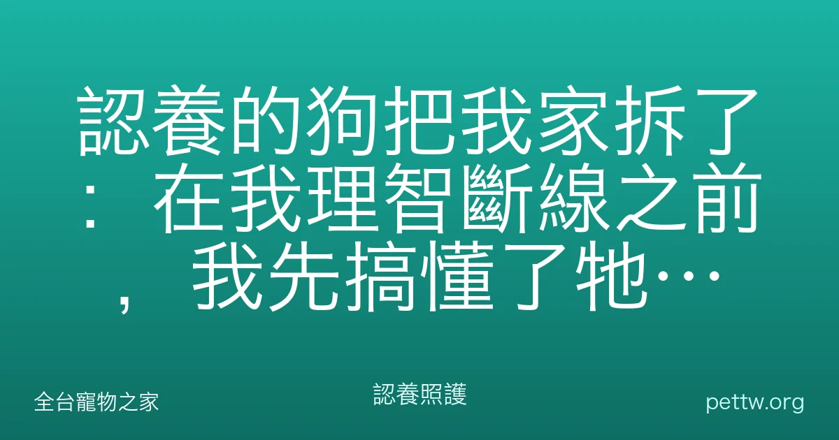 認養的狗把我家拆了：在我理智斷線之前，我先搞懂了牠為什麼這樣