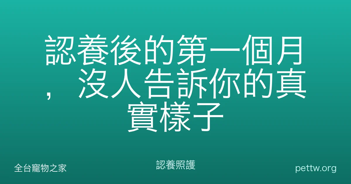 認養後的第一個月,沒人告訴你的真實樣子