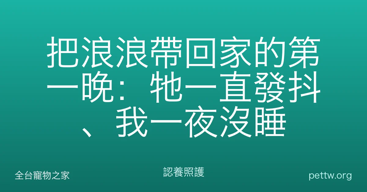 把浪浪帶回家的第一晚:牠一直發抖、我一夜沒睡