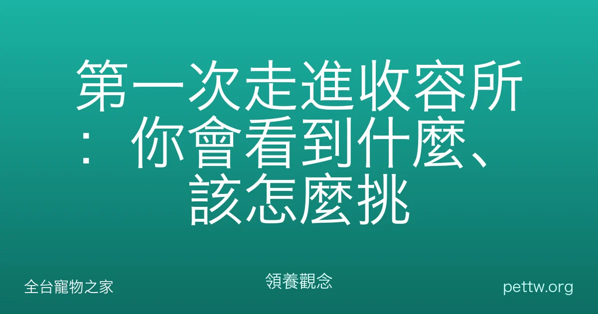 第一次走進收容所：你會看到什麼、該怎麼挑