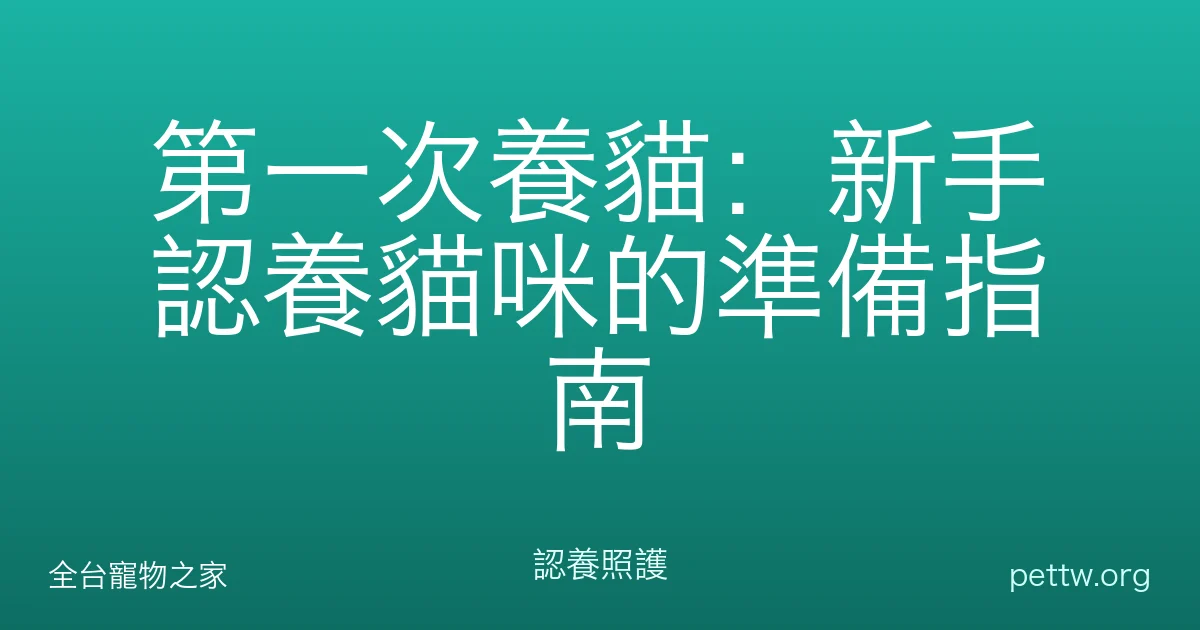第一次養貓：新手認養貓咪的準備指南