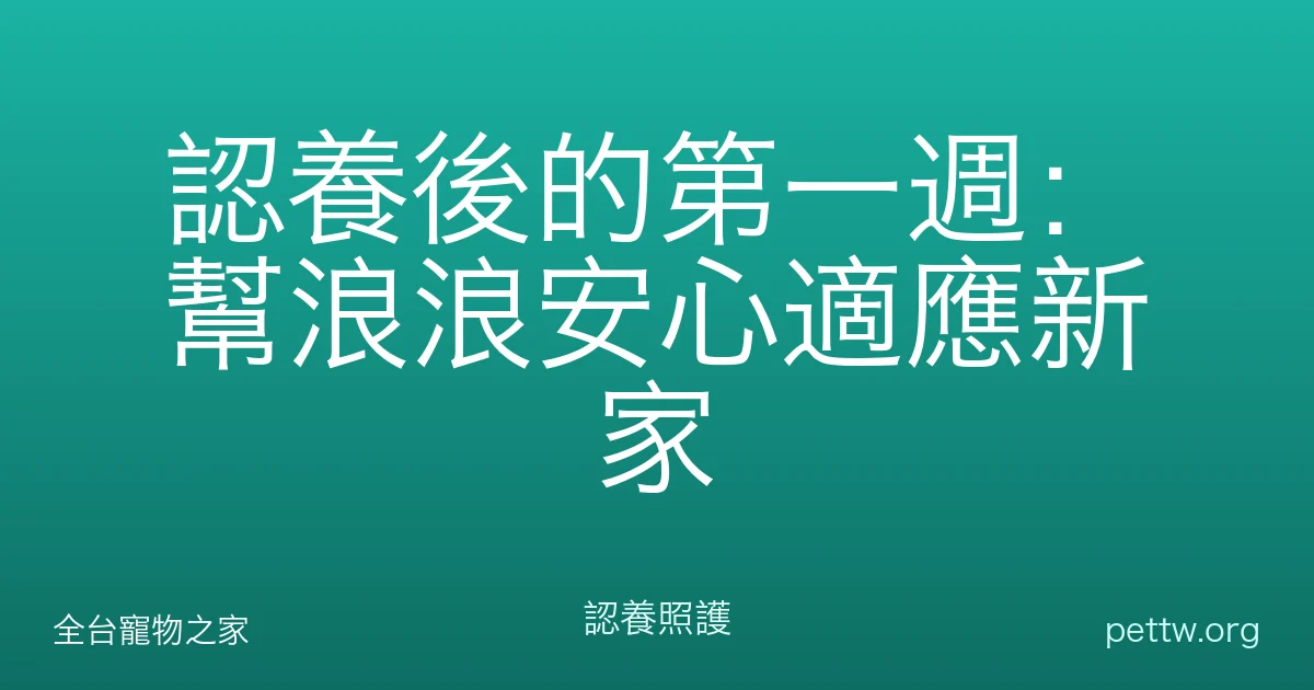 認養後的第一週：幫浪浪安心適應新家