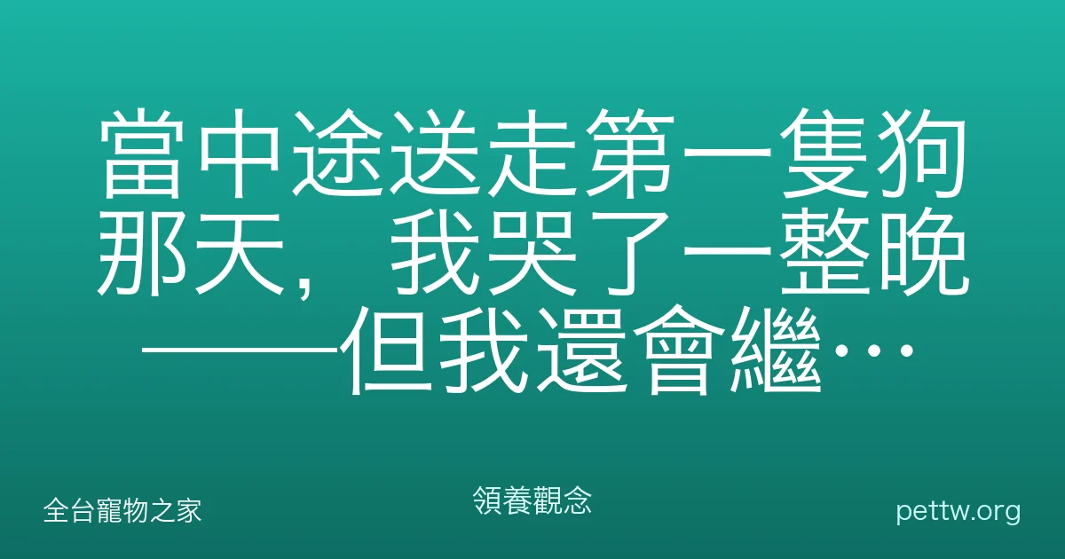當中途送走第一隻狗那天，我哭了一整晚——但我還會繼續做