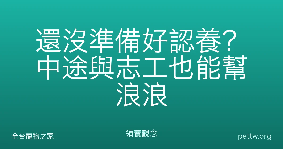 還沒準備好認養？中途與志工也能幫浪浪