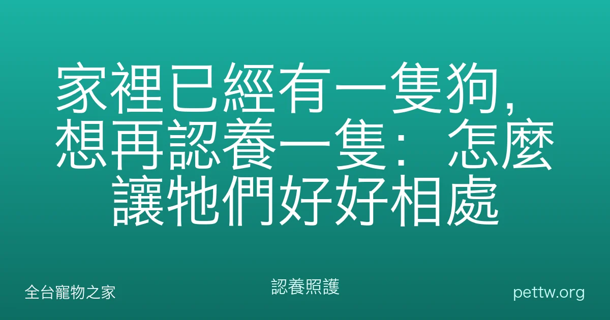 家裡已經有一隻狗,想再認養一隻:怎麼讓牠們好好相處