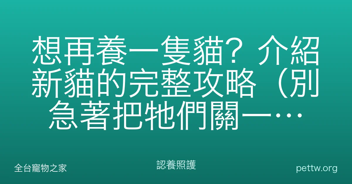 想再養一隻貓？介紹新貓的完整攻略（別急著把牠們關一起）