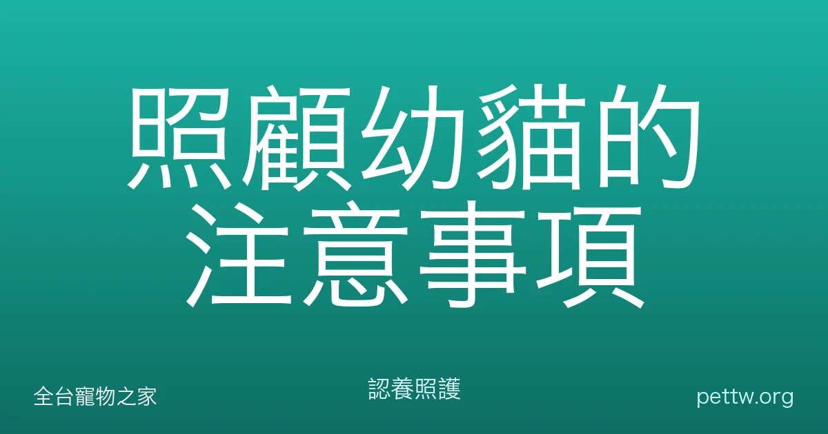 照顧幼貓的注意事項