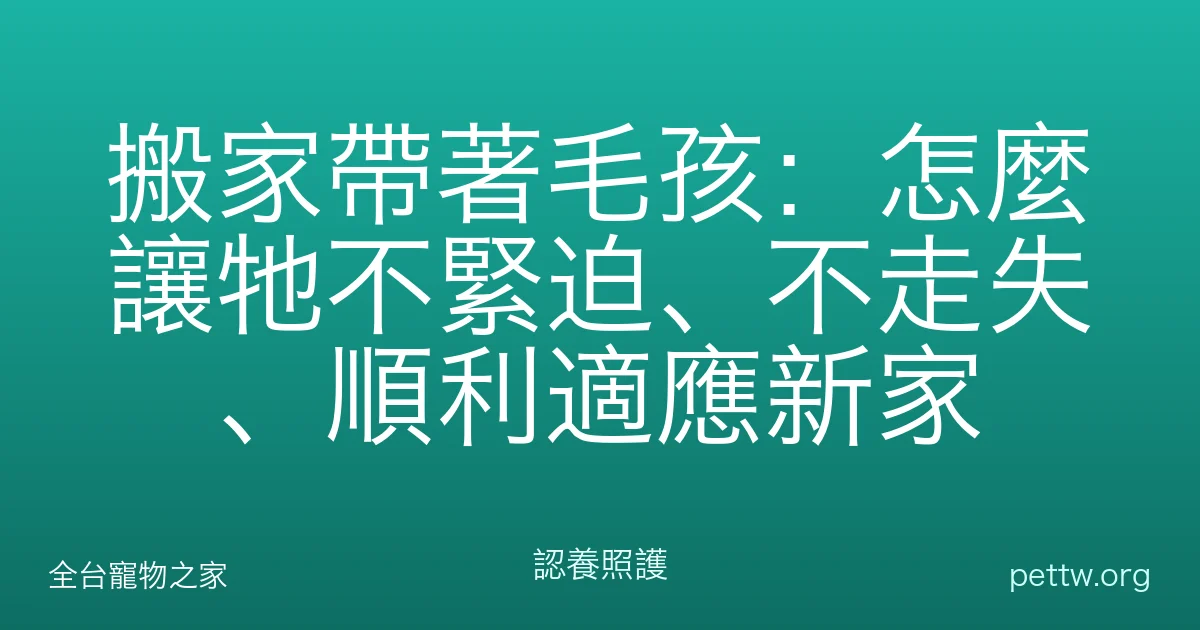 搬家帶著毛孩:怎麼讓牠不緊迫、不走失、順利適應新家