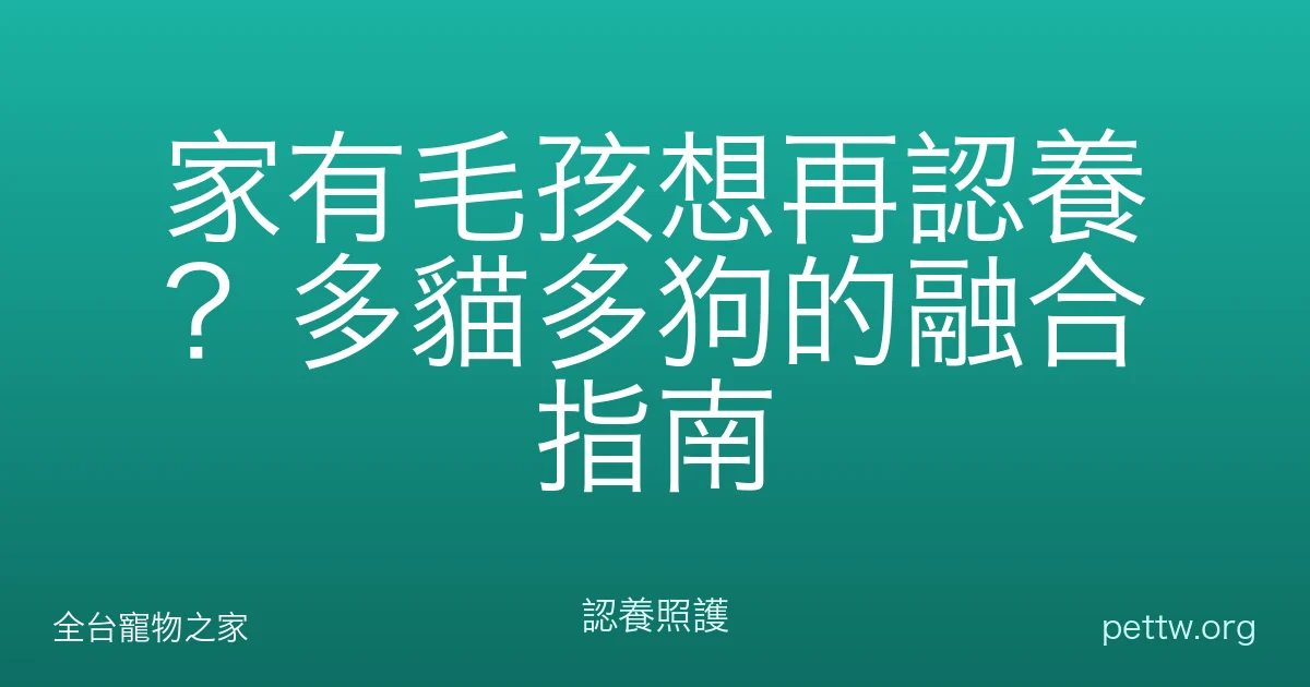 家有毛孩想再認養？多貓多狗的融合指南