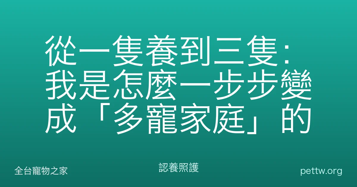 從一隻養到三隻：我是怎麼一步步變成「多寵家庭」的