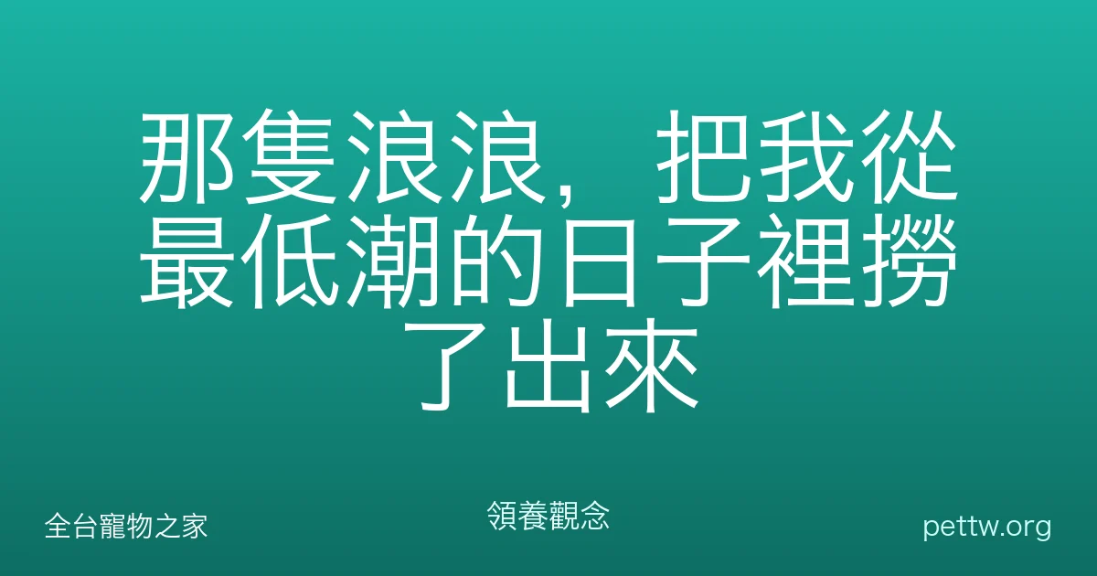 那隻浪浪，把我從最低潮的日子裡撈了出來