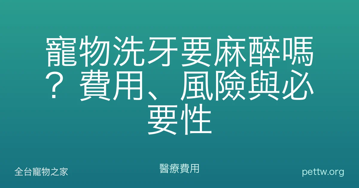 寵物洗牙要麻醉嗎？費用、風險與必要性