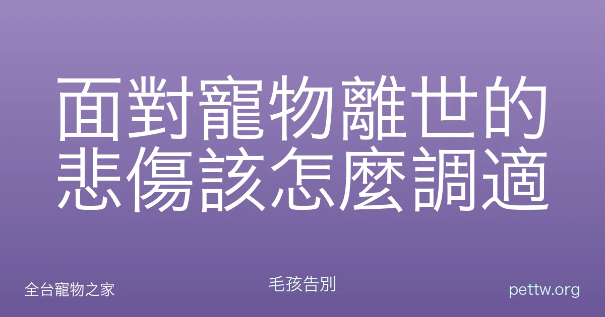 面對寵物離世的悲傷該怎麼調適