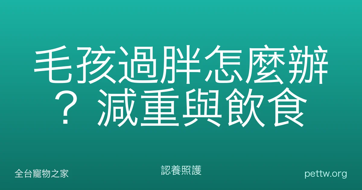 毛孩過胖怎麼辦？減重與飲食