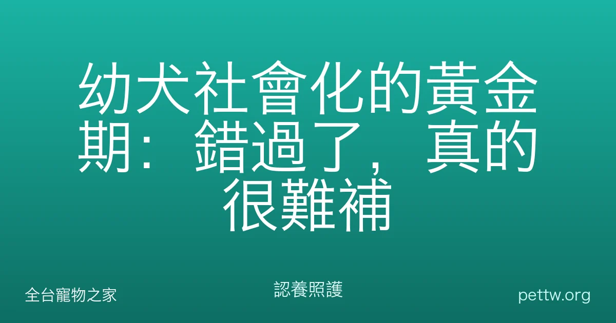 幼犬社會化的黃金期：錯過了，真的很難補