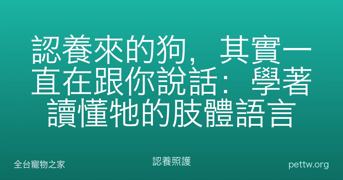 認養來的狗，其實一直在跟你說話：學著讀懂牠的肢體語言