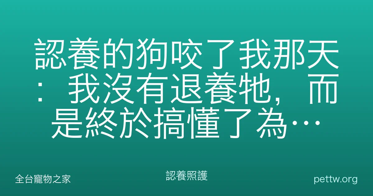 認養的狗咬了我那天：我沒有退養牠，而是終於搞懂了為什麼