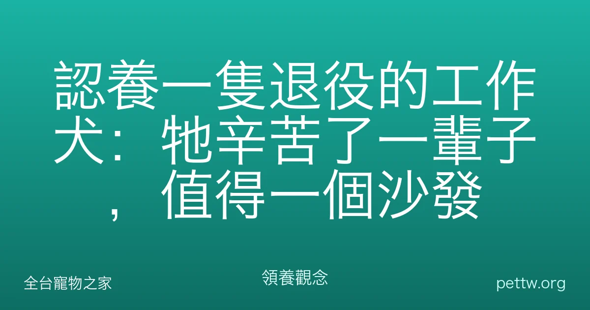 認養一隻退役的工作犬：牠辛苦了一輩子，值得一個沙發