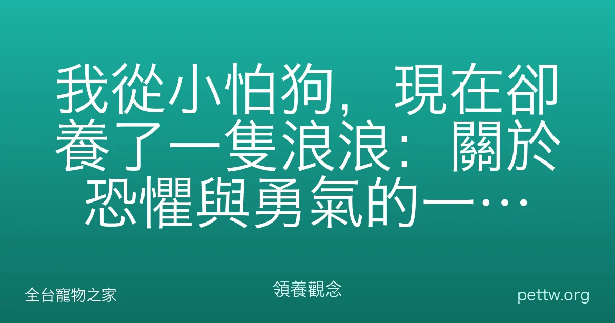 我從小怕狗，現在卻養了一隻浪浪：關於恐懼與勇氣的一段路