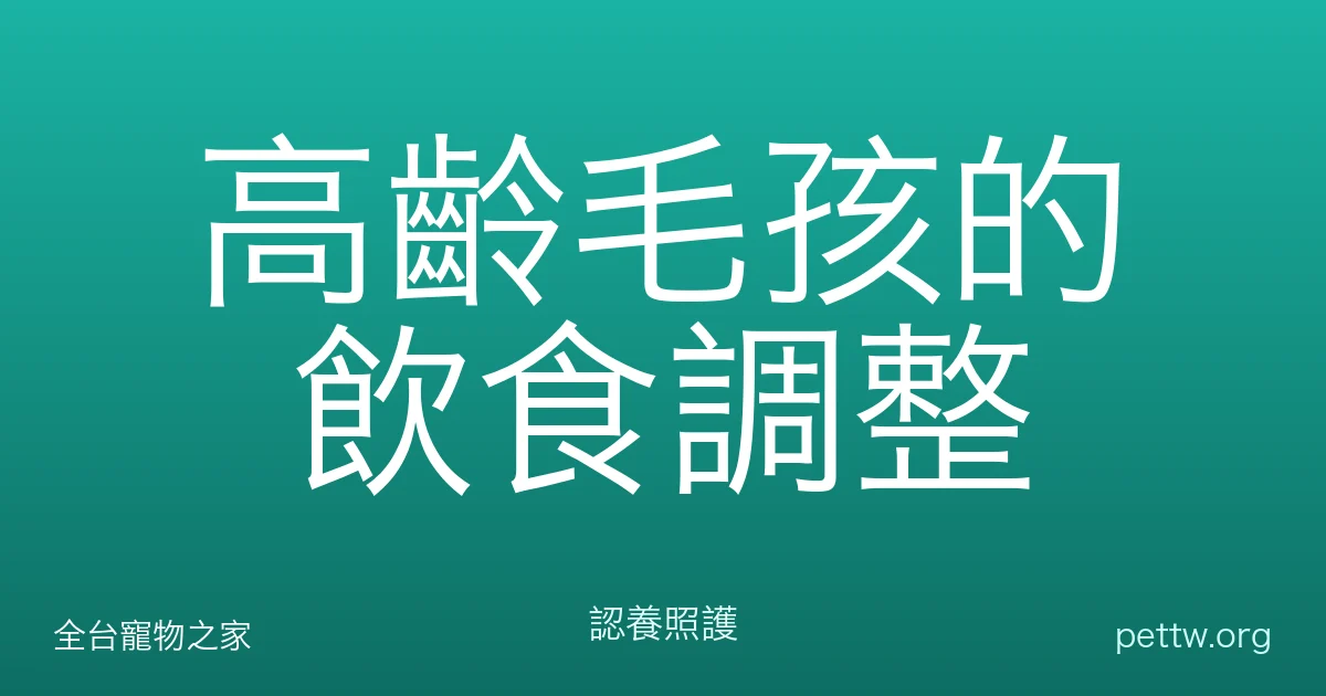 高齡毛孩的飲食調整