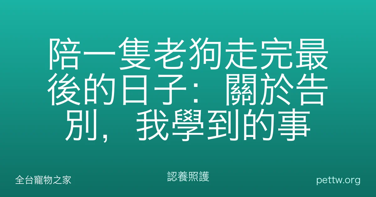 陪一隻老狗走完最後的日子：關於告別，我學到的事